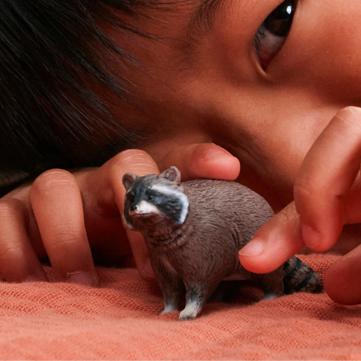 Racoon - Image 2