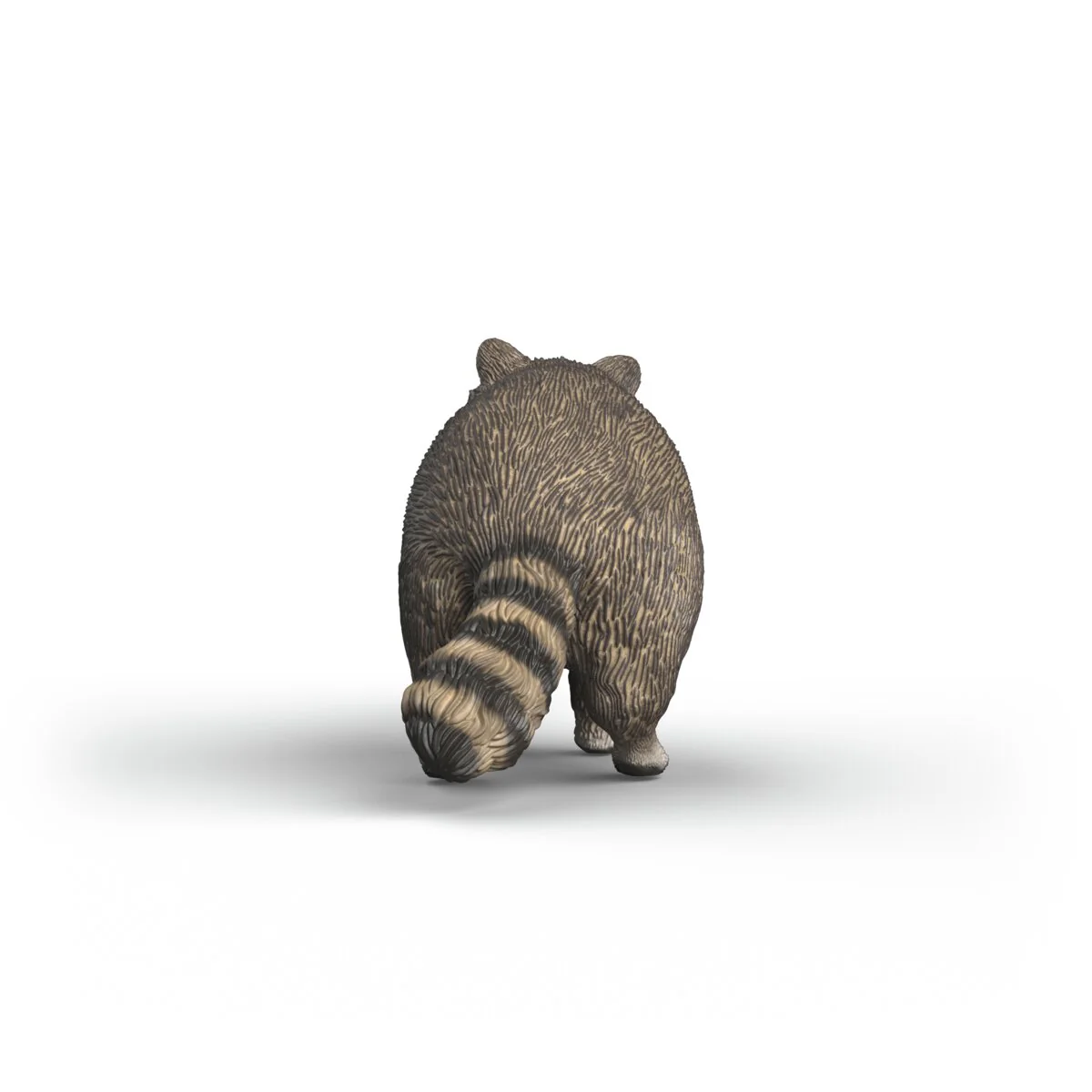 Racoon - Image 4