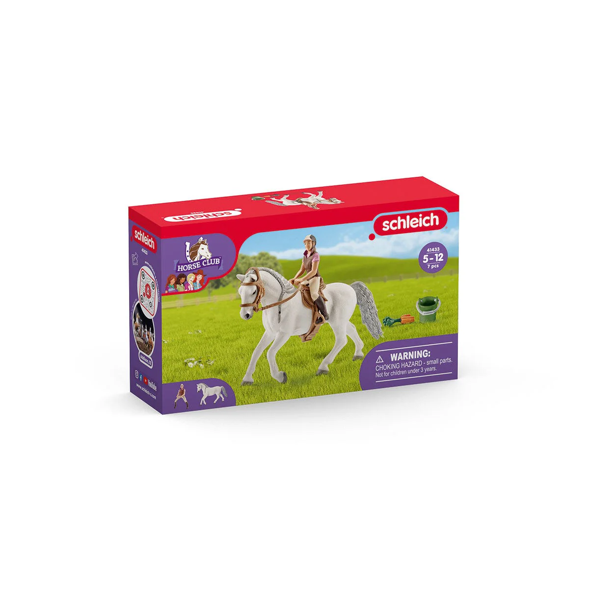 Rider with Lipizzaner mare - Image 2
