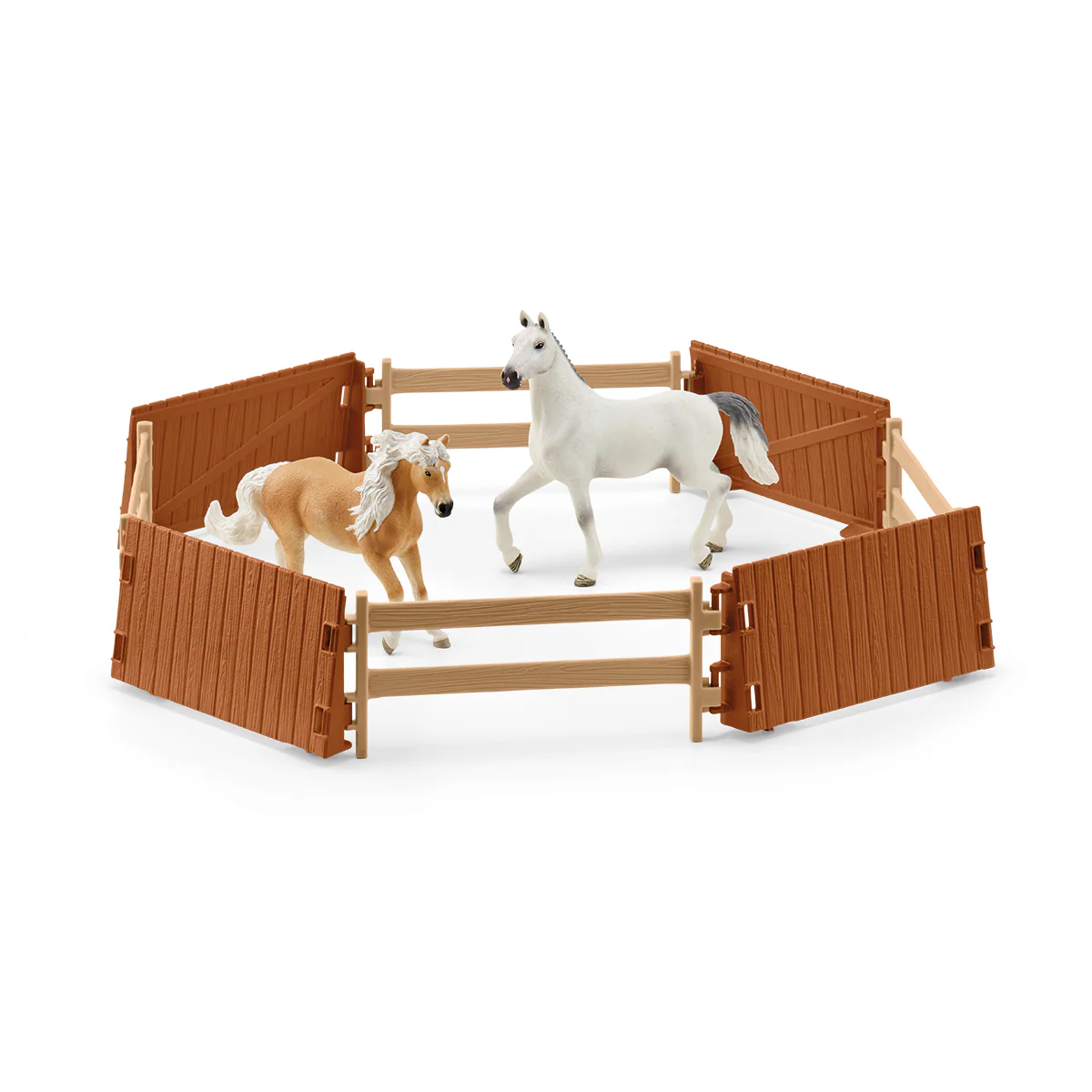 Riding Arena Peppertree - Image 11