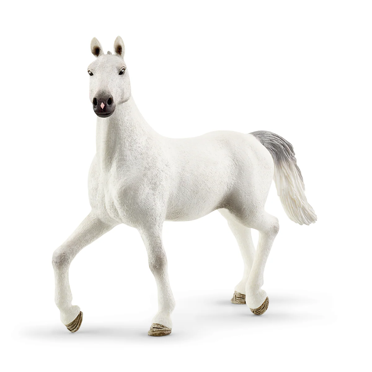 Riding Arena Peppertree - Image 17