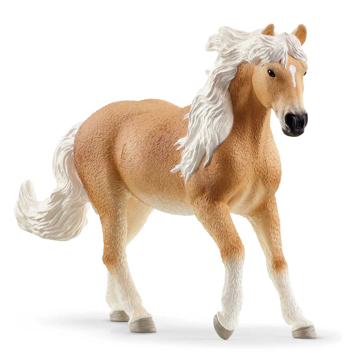 Riding Arena Peppertree - Image 18