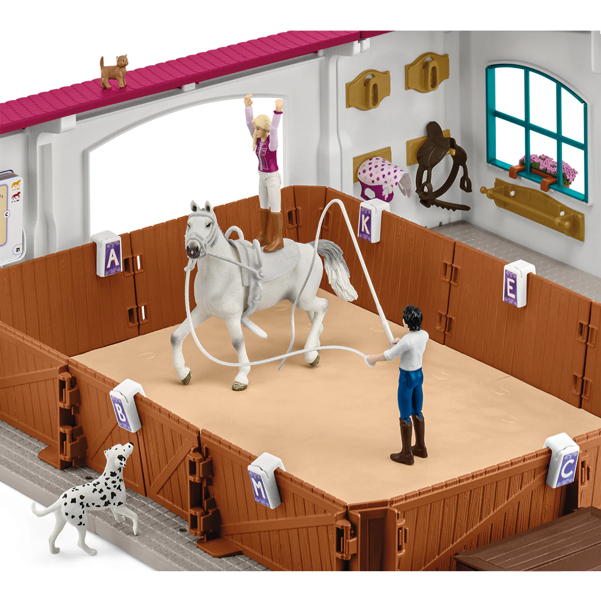 Riding Arena Peppertree - Image 5