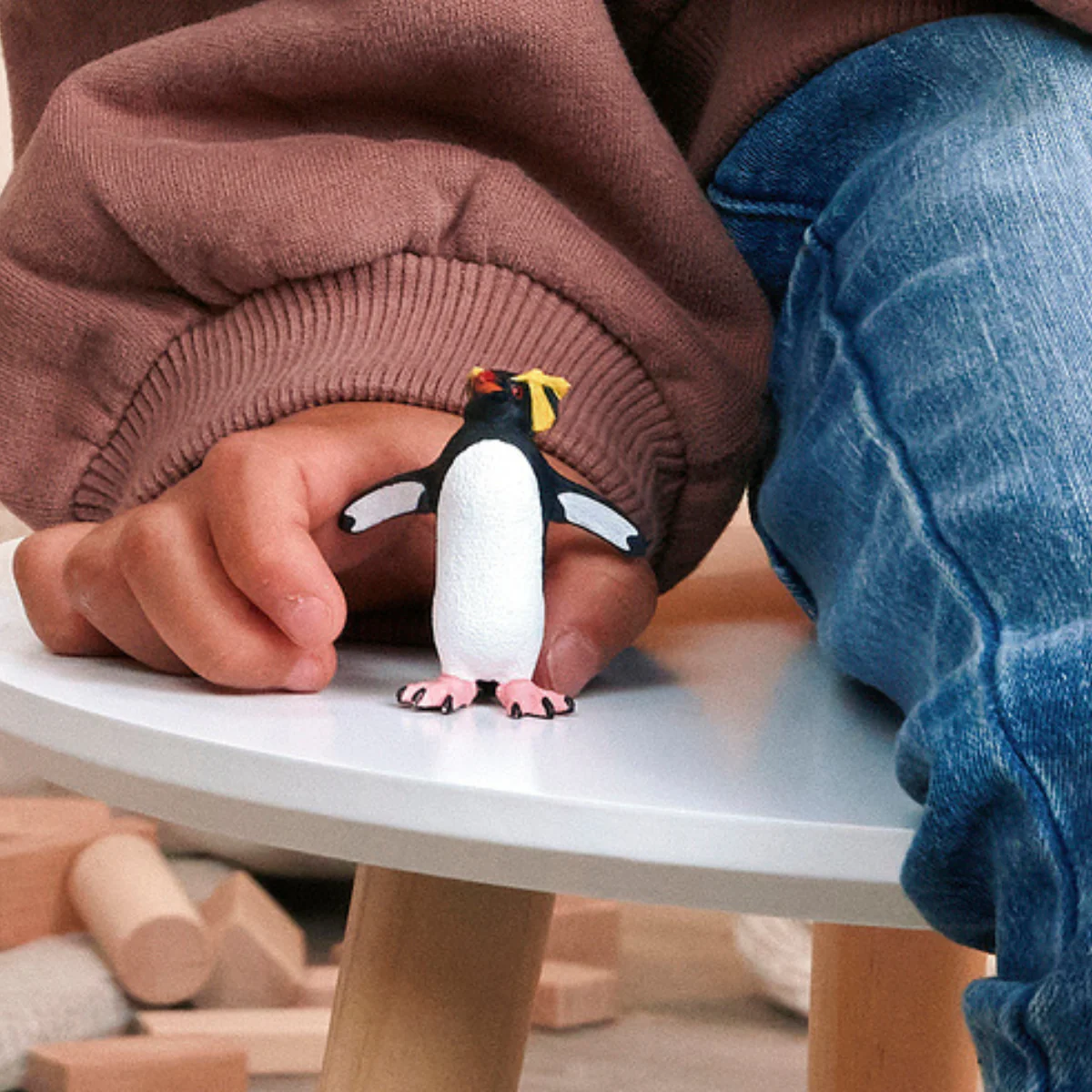 Rockhopper Penguin - Image 2