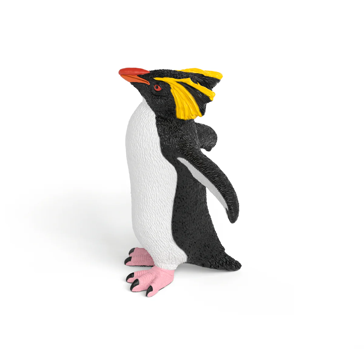 Rockhopper Penguin - Image 3