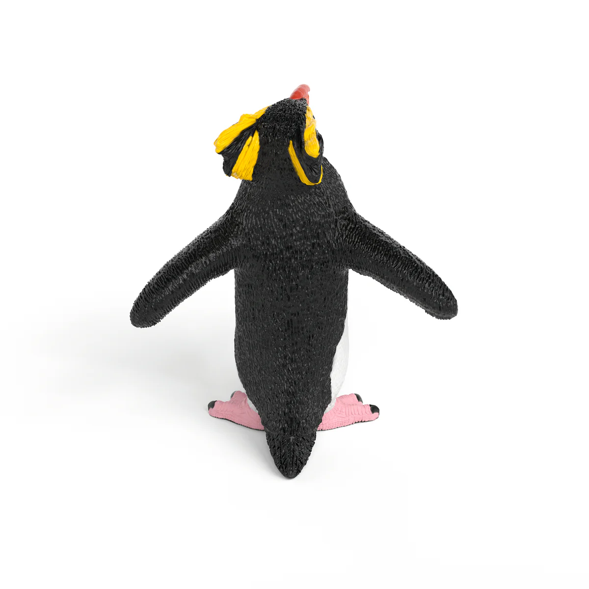 Rockhopper Penguin - Image 4