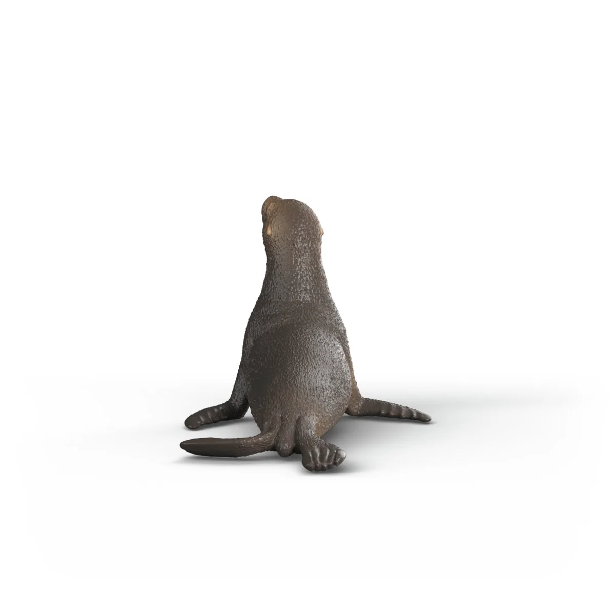Sea lion - Image 3