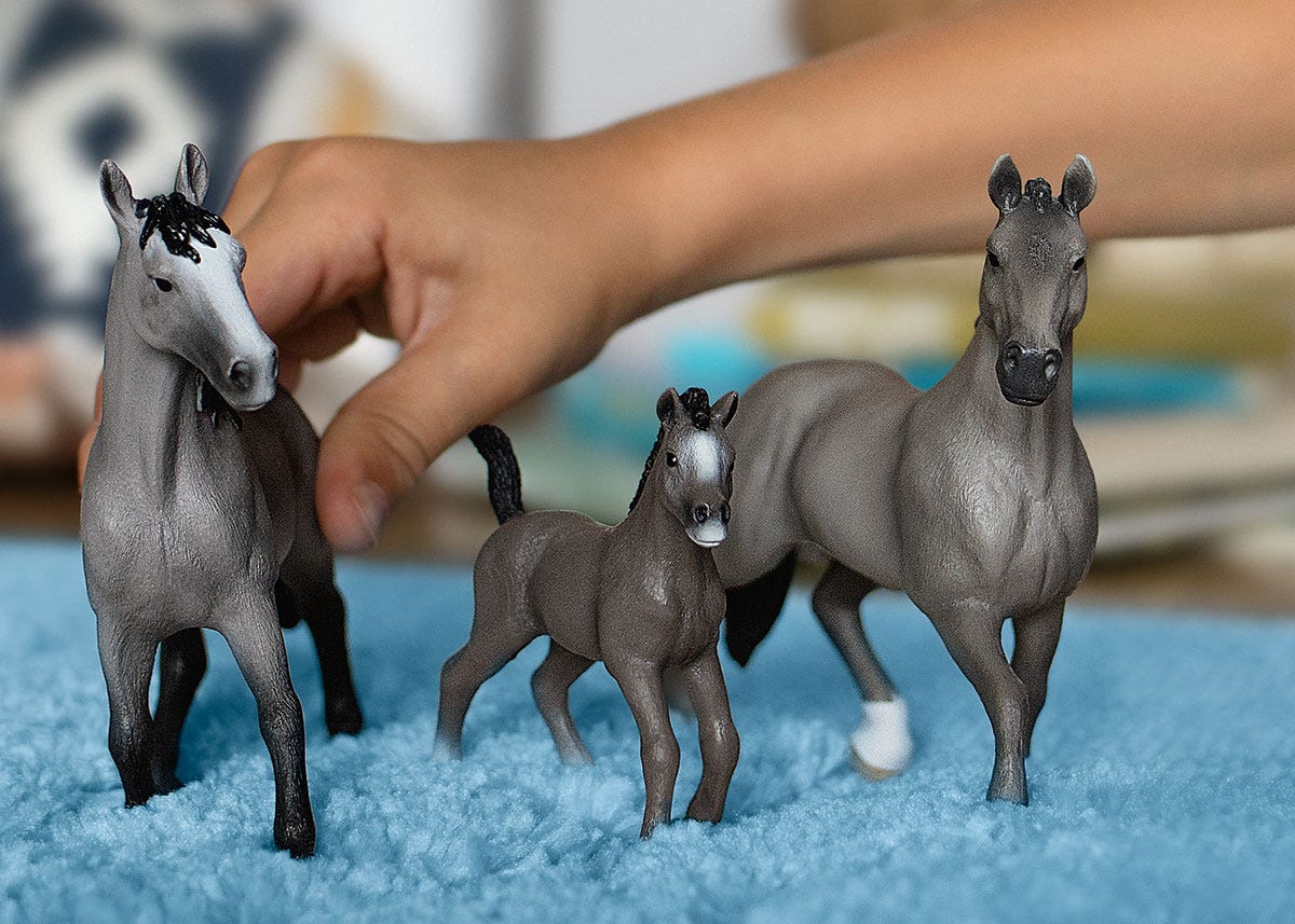 Selle Français Mare - Image 2