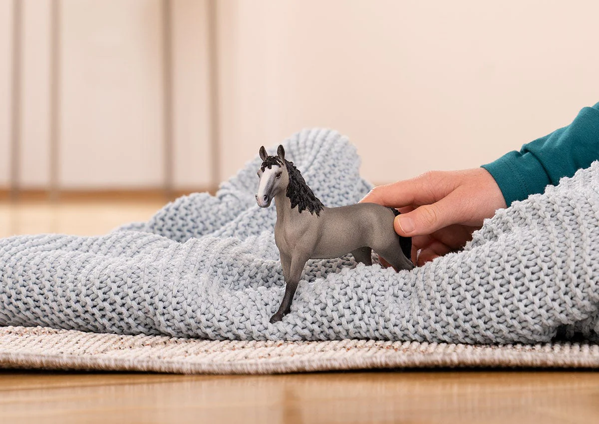 Selle Français Mare - Image 3