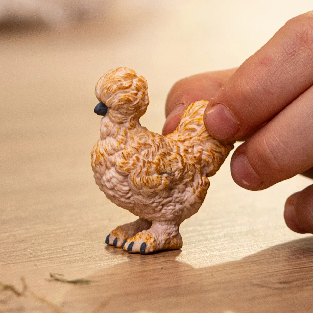 Silkie Chicken - Image 2
