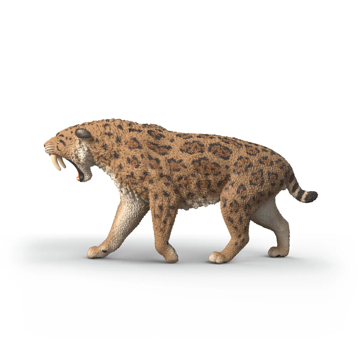 Smilodon - Image 5