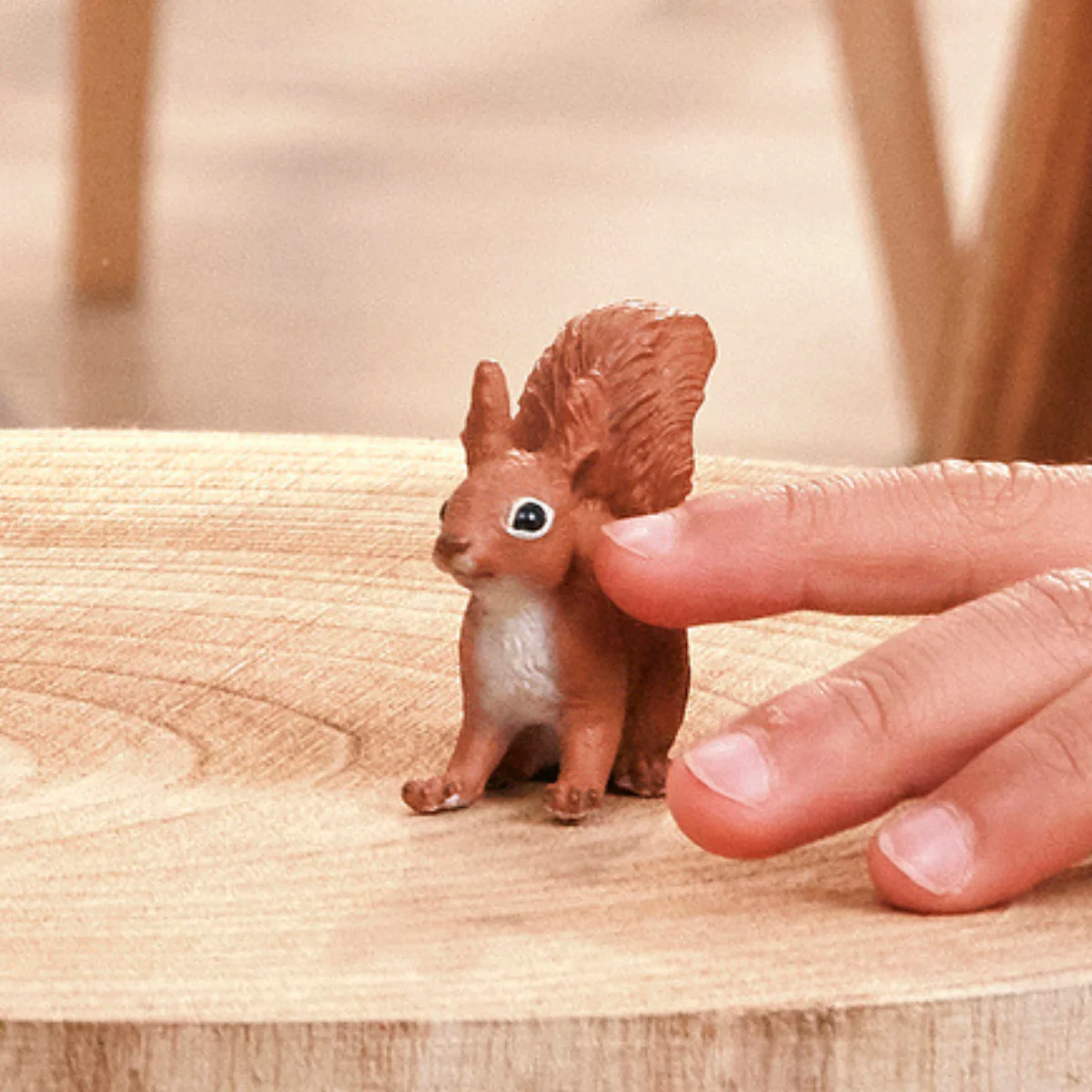 Squirrel - Image 2