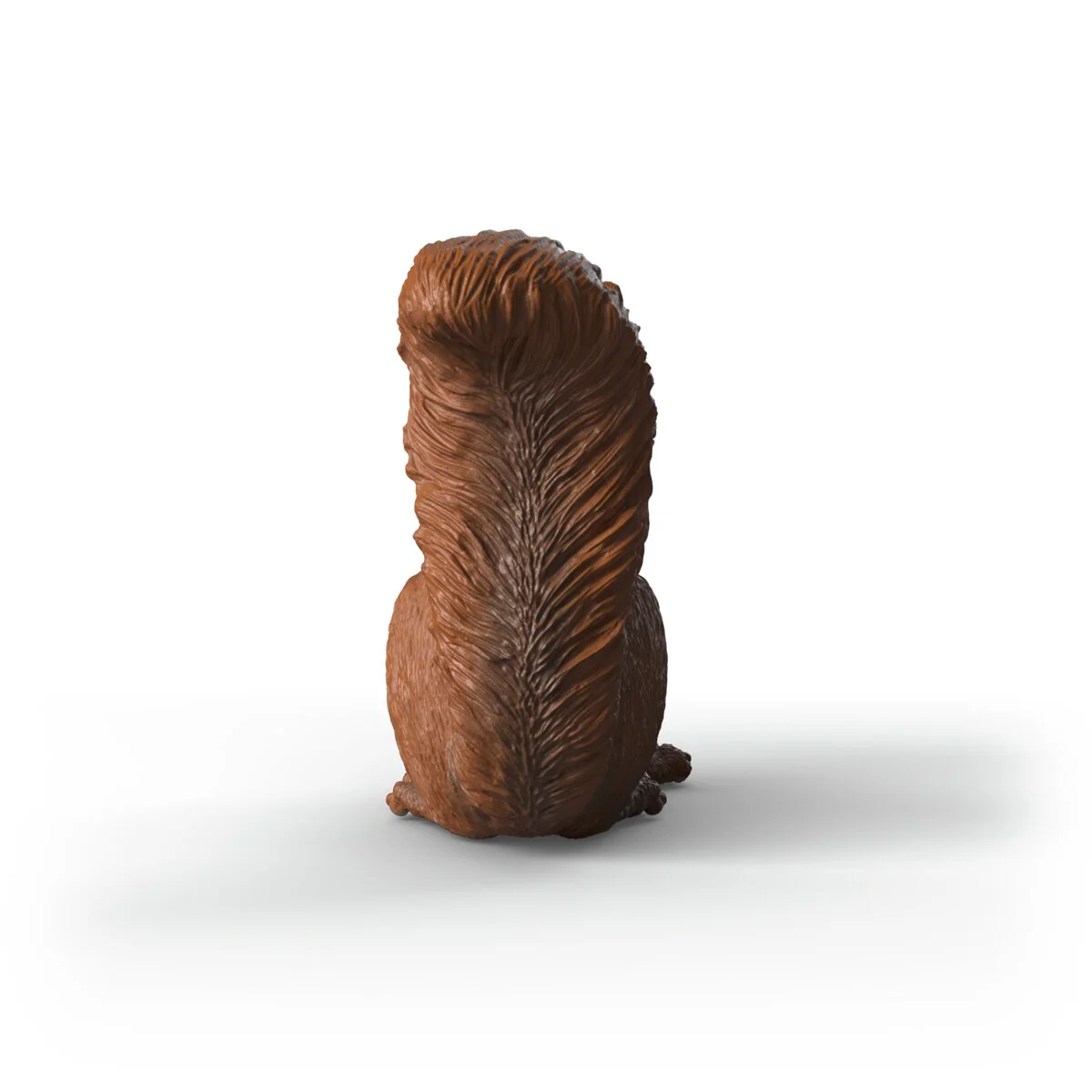 Squirrel - Image 4