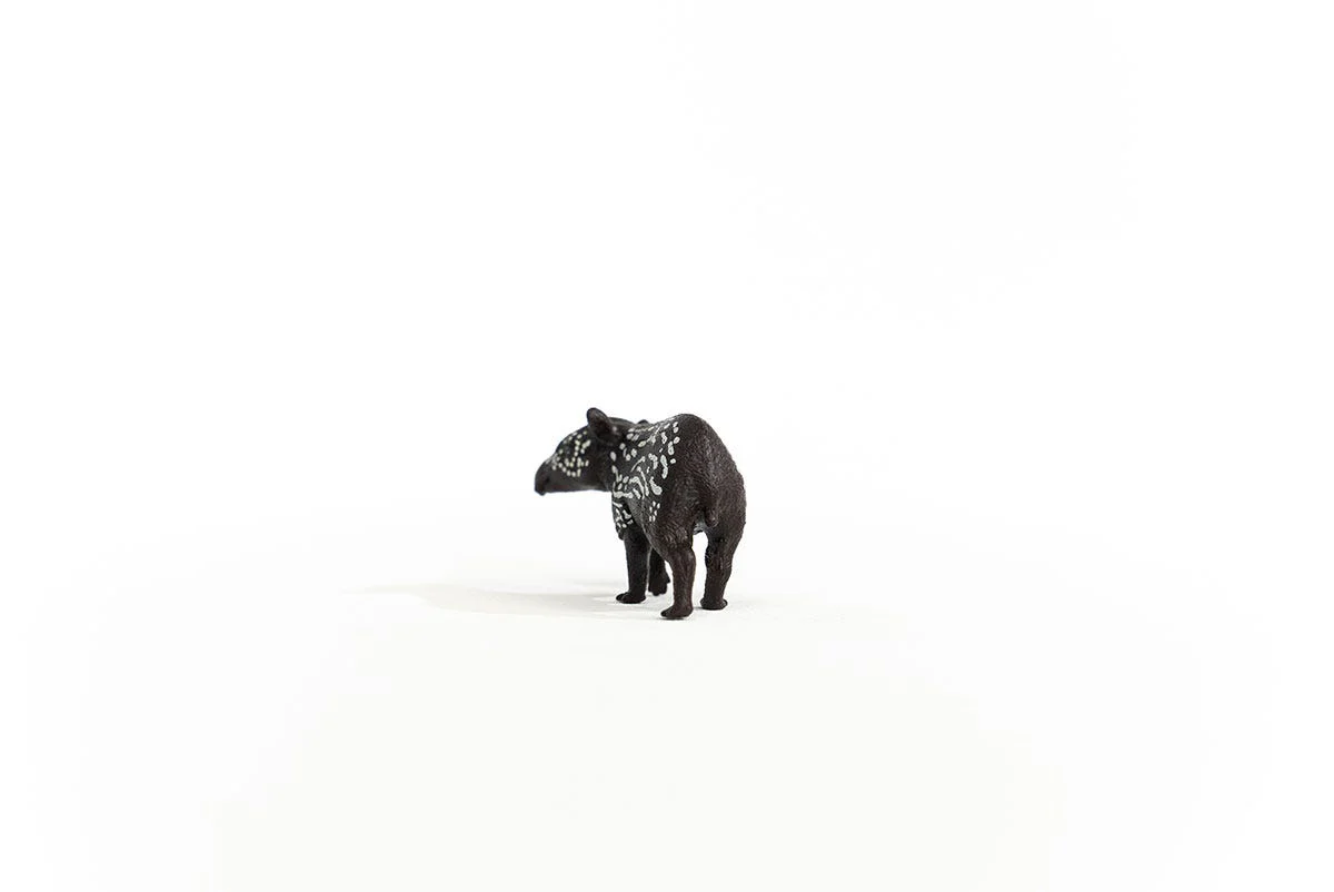 Tapir Baby - Image 3
