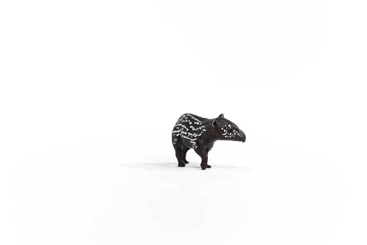 Tapir Baby - Image 5