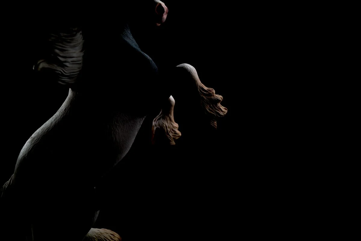 Thunder, Tinker Gelding 1:12 - Image 10