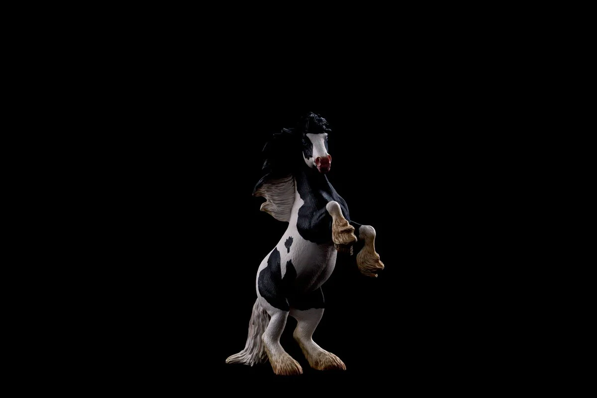 Thunder, Tinker Gelding 1:12 - Image 12