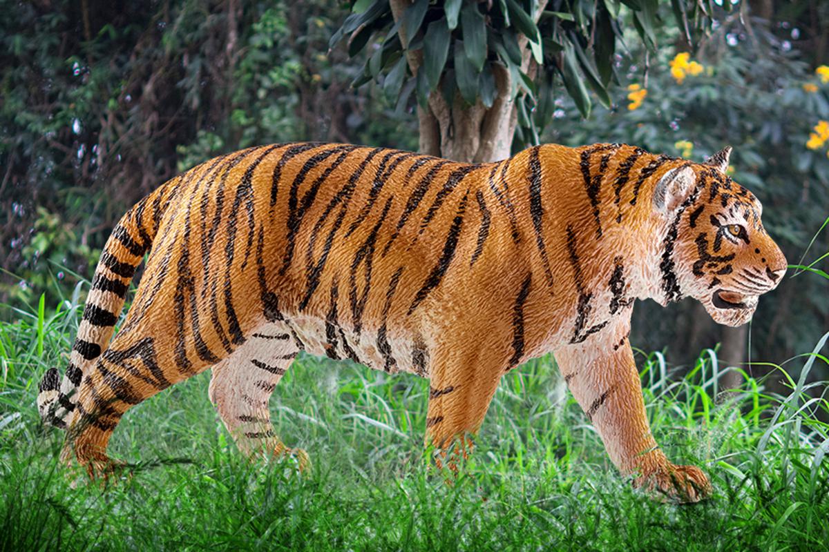 Tiger - Image 2