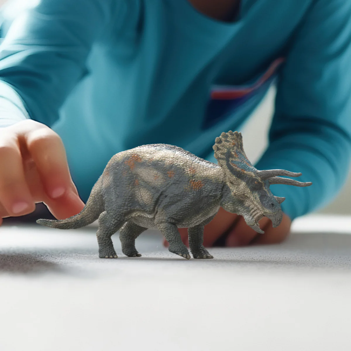Triceratops - Image 2