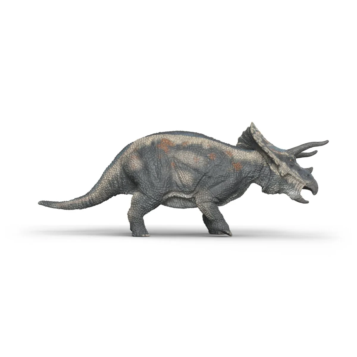 Triceratops - Image 3
