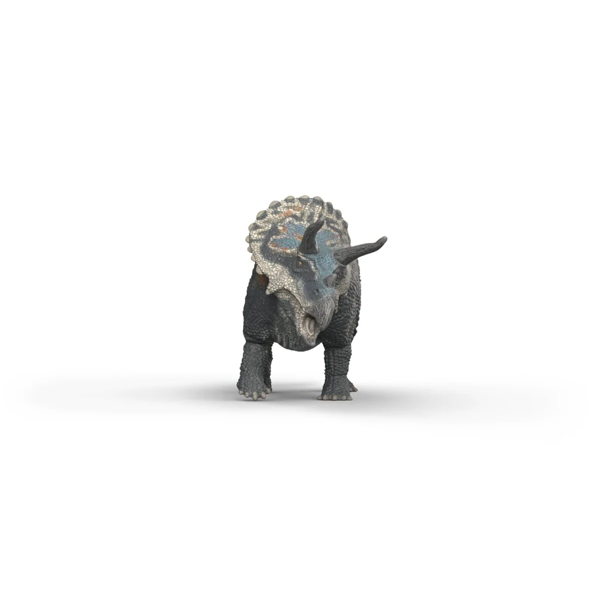 Triceratops - Image 5
