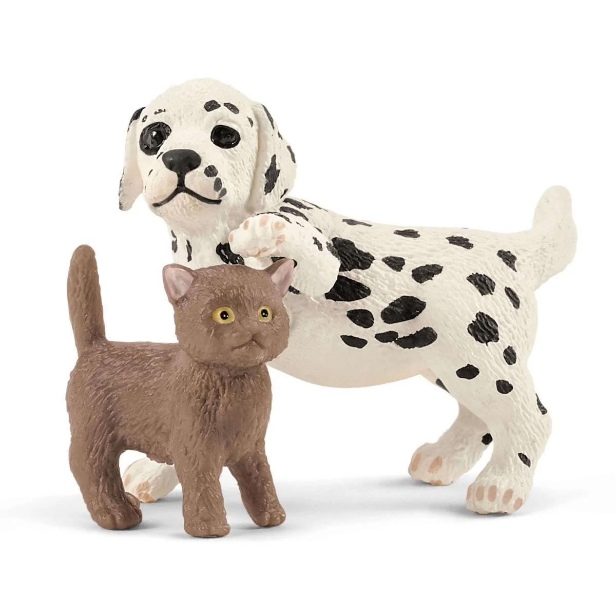 Veterinarian practice with pets - Image 16