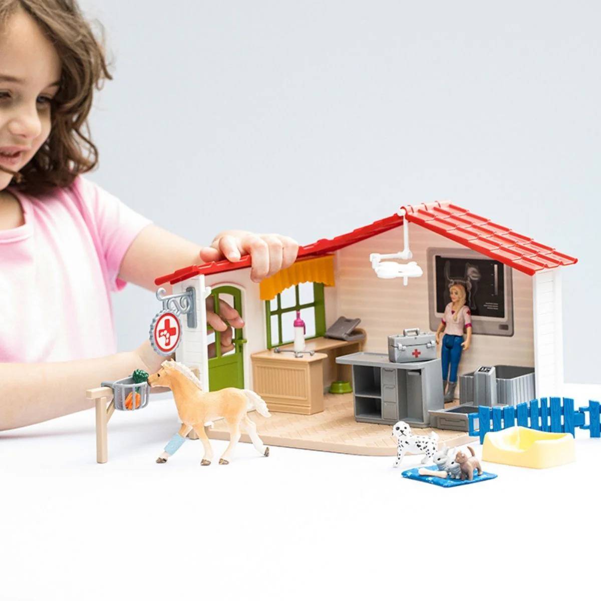 Veterinarian practice with pets - Image 4