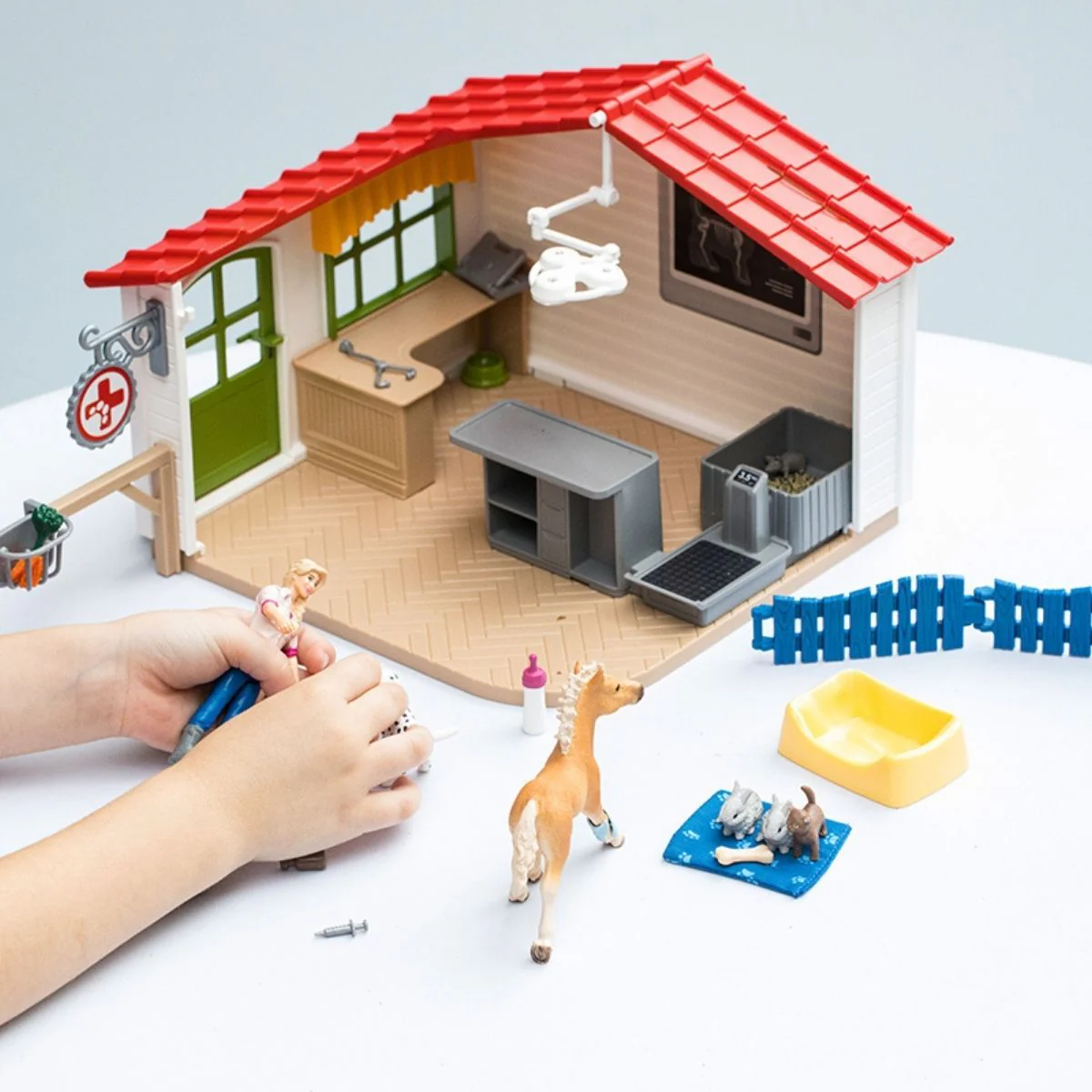 Veterinarian practice with pets - Image 6