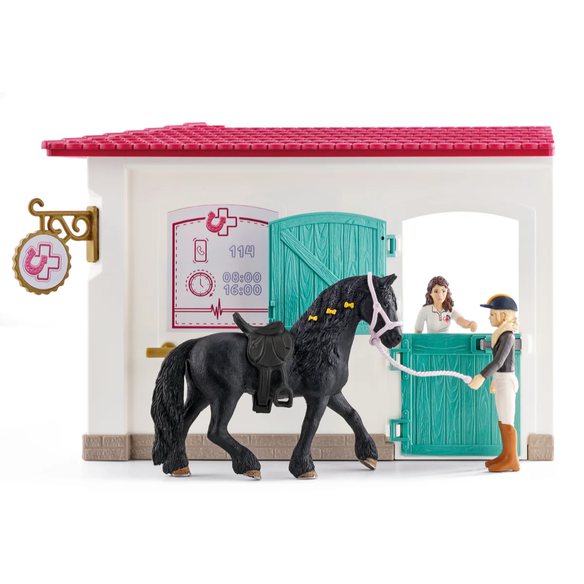 Visit to the vet - Image 4