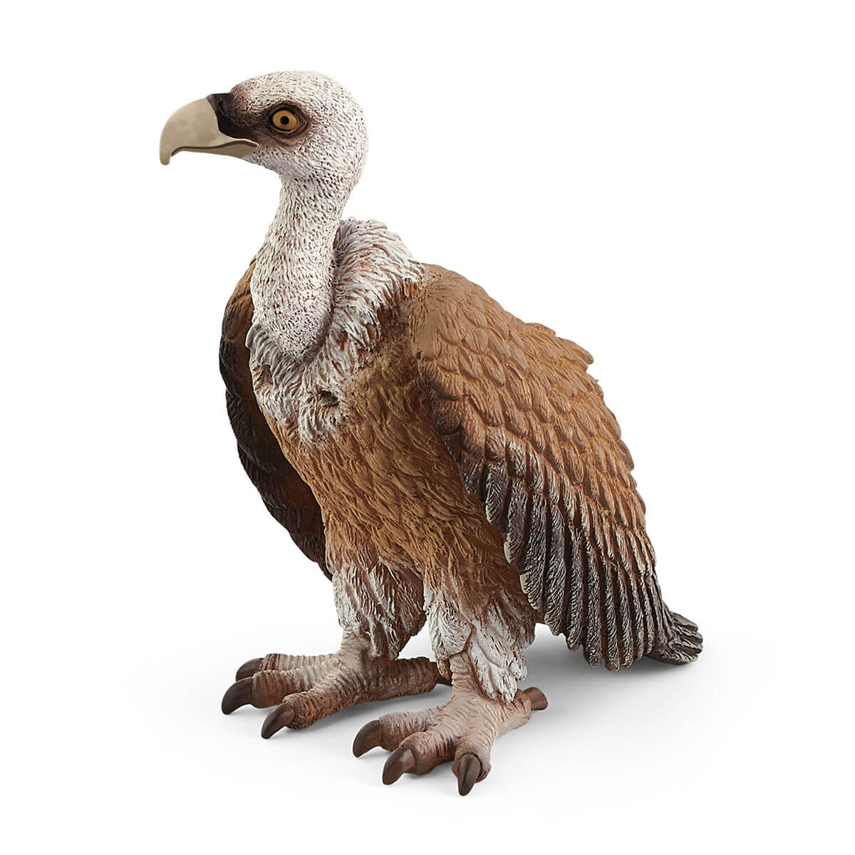 Vulture (bundle)