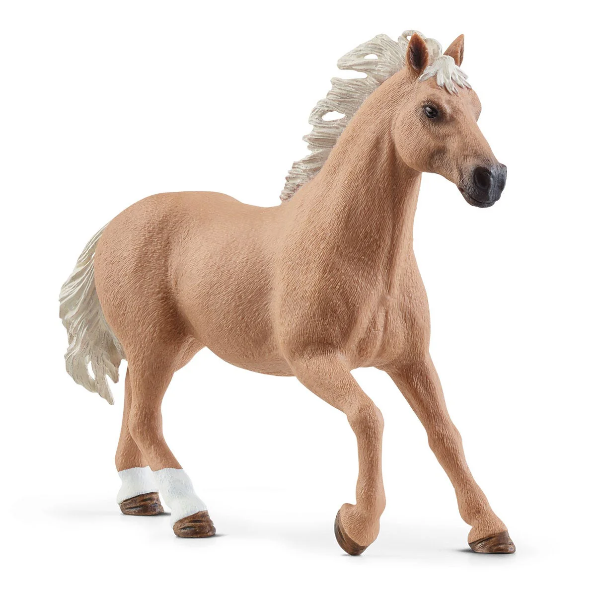 Western Riding Adventures - Image 10