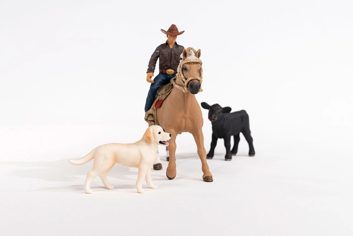 Western Riding Adventures - Image 8